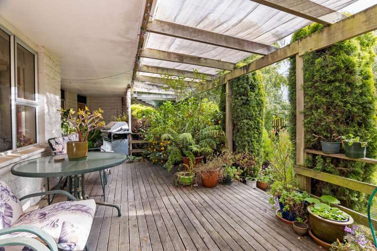 209 Lawcocks Road Amberley_24