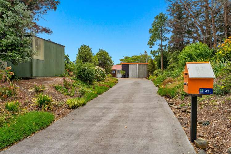 43 Settlement Road Kaiwaka_10