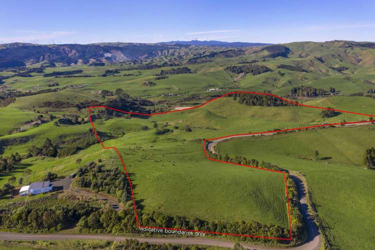 535 Maungatawhiri Road Raglan_13