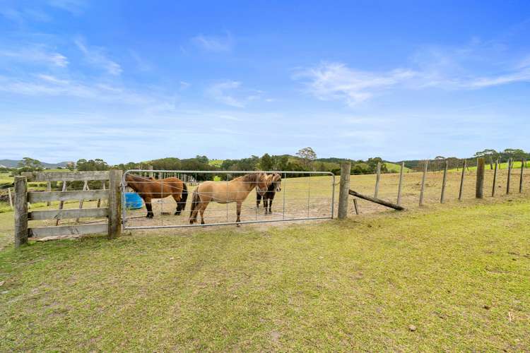 121 Haruru Falls Road Haruru_17