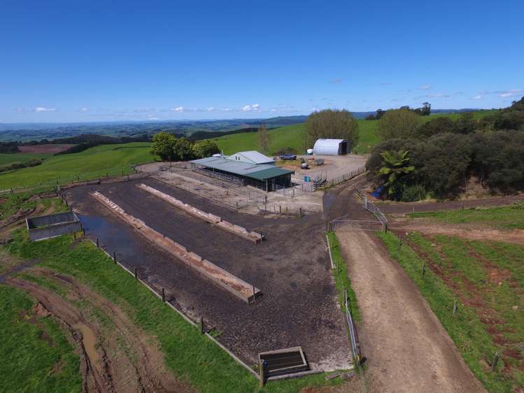 487 Pekanui Road. Rd 6 Te Awamutu_7