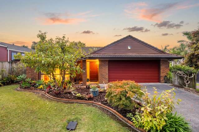 Solid, Space, Potential - Rangi Zone