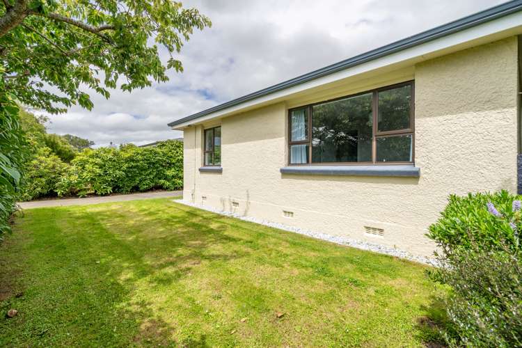 319 Chelmsford Street Waverley_21