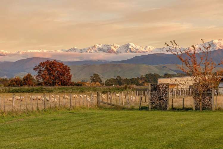 58 Donovans Road Masterton_23