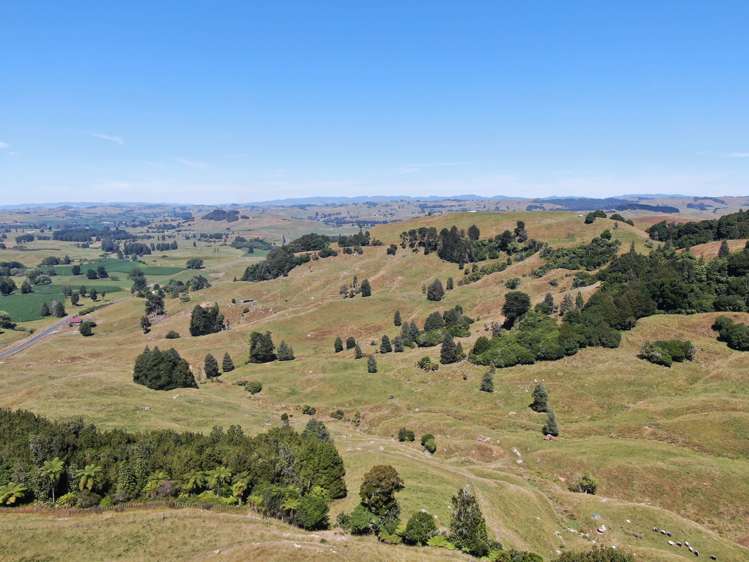 1246 State Highway 3 Te Kuiti_11