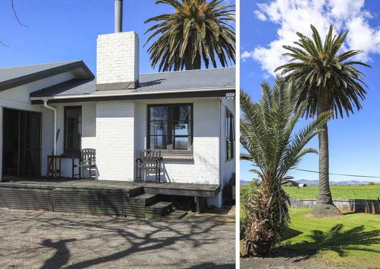 775 Hauraki Road Turua_9