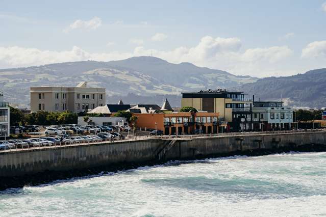 246 Forbury Road Saint Clair_1