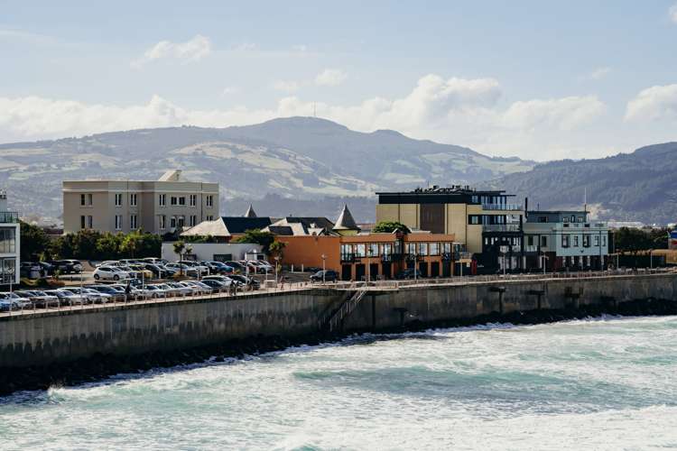 246 Forbury Road Saint Clair_1