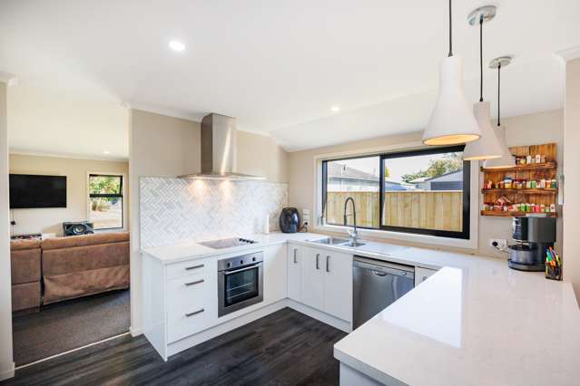 158 Salisbury Street Ashhurst_3