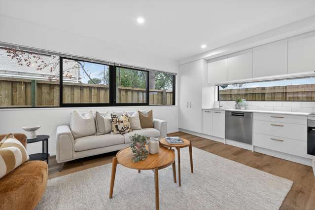 12a Darley Street Somerfield_2