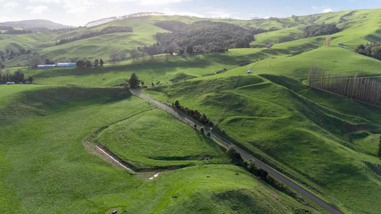 415 Brunskill Road Cambridge_9