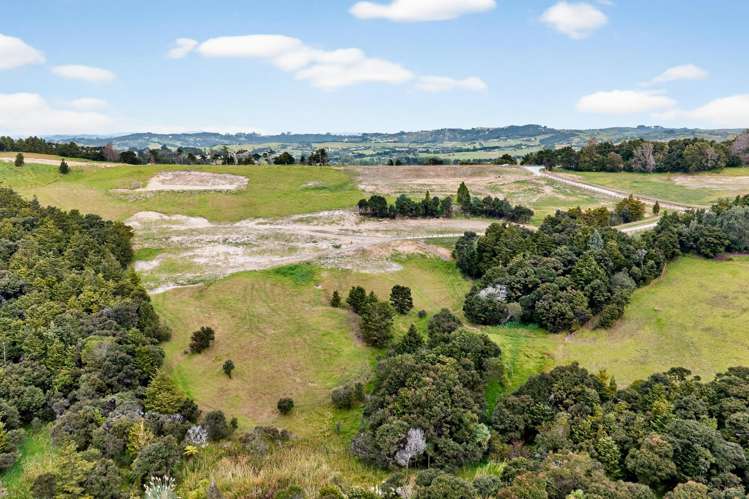 Mangawhai Bush Estate Mangawhai_8