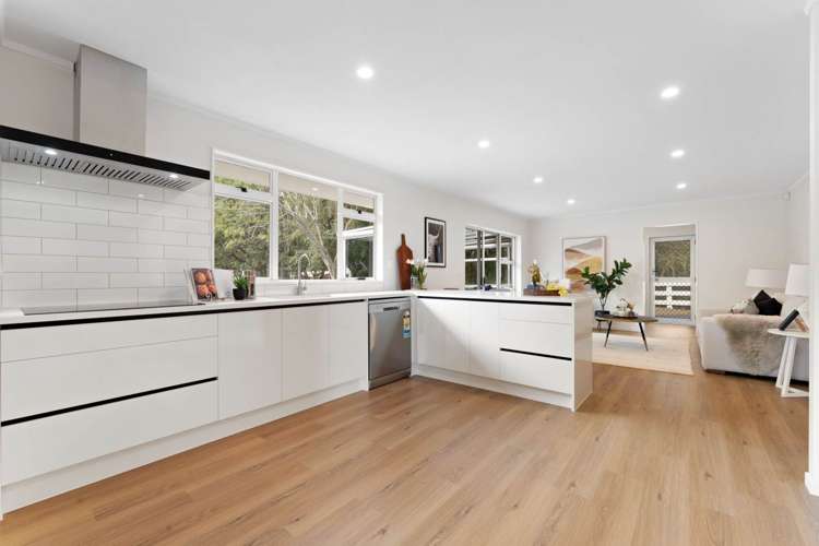 37 Green Road Dairy Flat_19