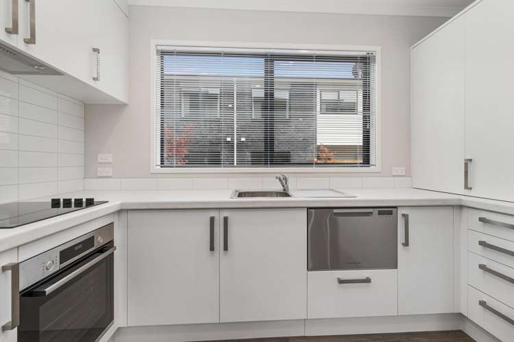 11/88 Carrington Avenue 1146_5