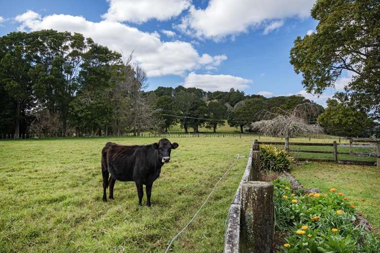 47 Rushbrook Road Ruatangata_24