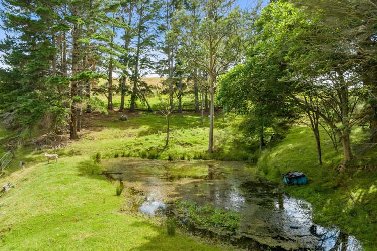 712 Oruawharo Road Oruawharo_36