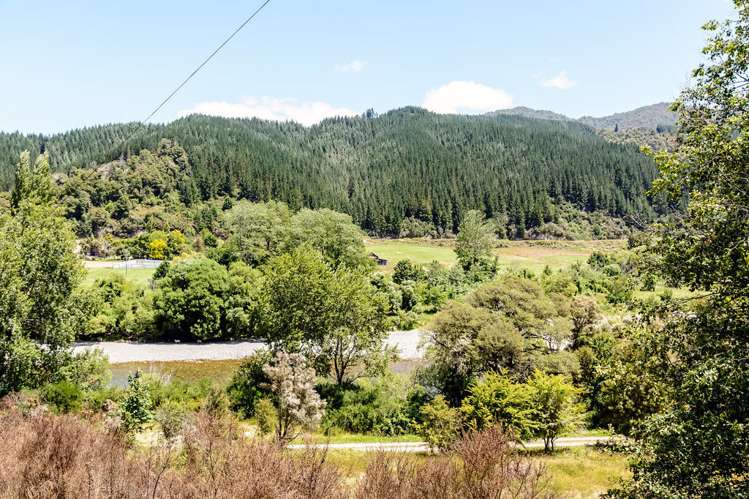 342 Hinetai Road Tapawera_11