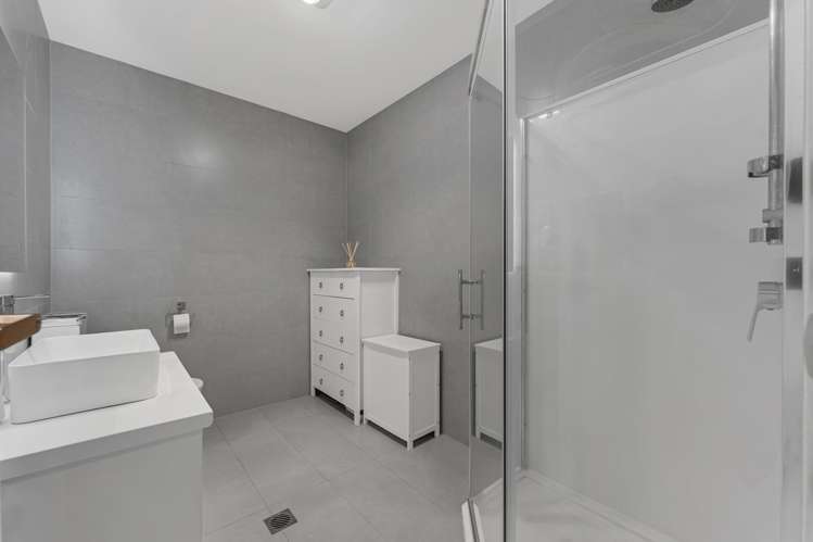 10 Goodfellow Lane Flat Bush_17