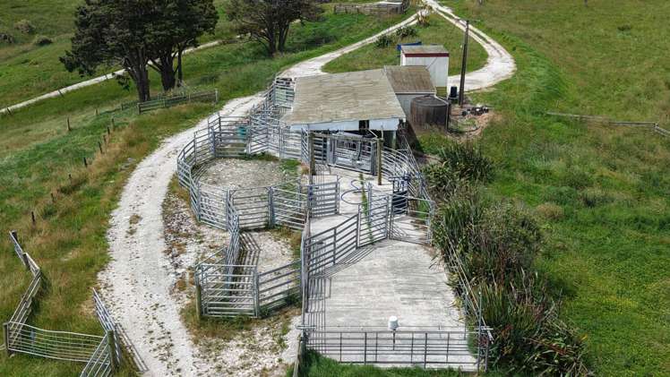 144 Poyner Road Paparoa_8