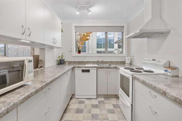 93 Cannington Road Maori Hill_3