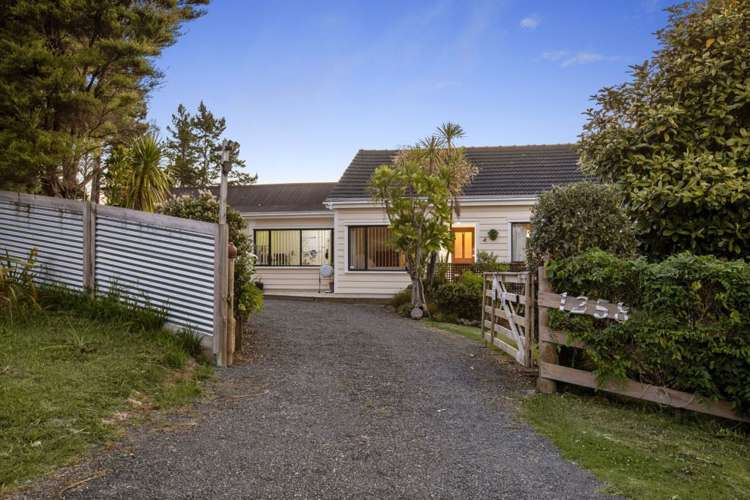 1258 East Coast Road Redvale_6