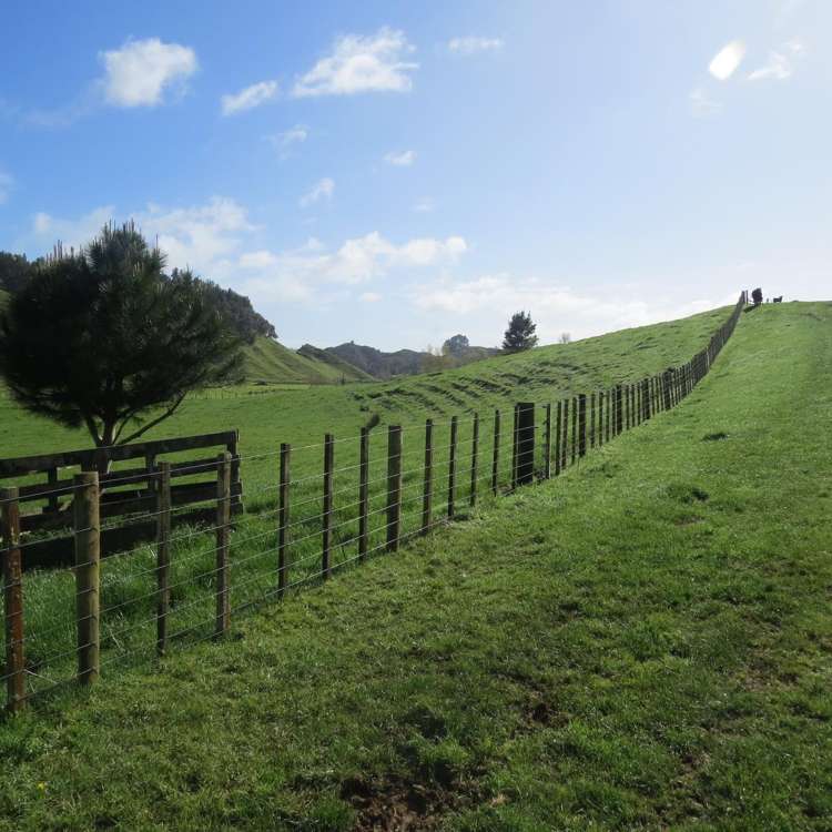 168 Pao Road Aria_20