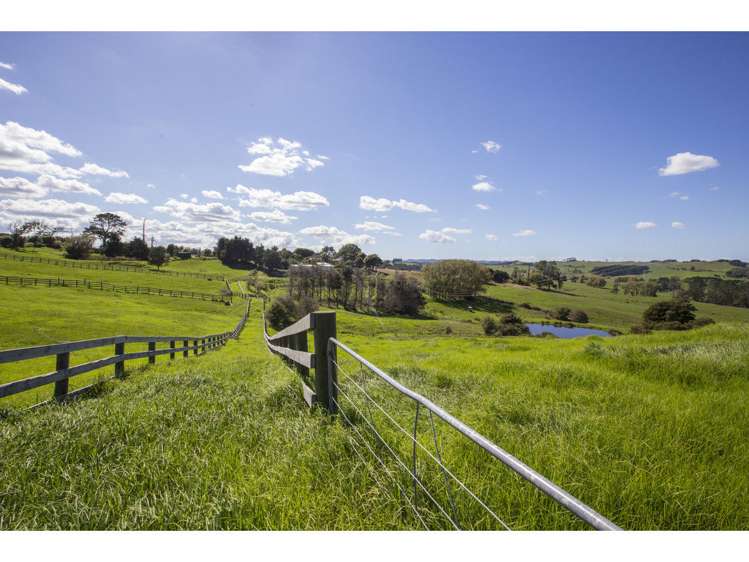 113 Underwood Road Wellsford_19