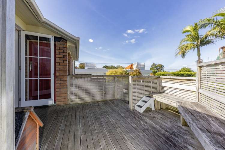 217 Campbell Road Greenlane_11