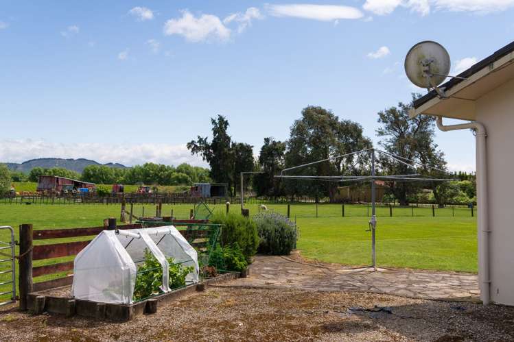 33 Caesar Road Ormond_21