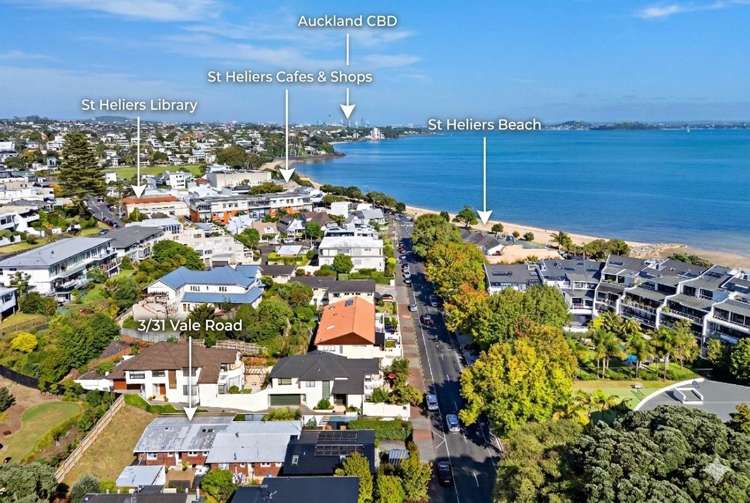 3/31 Vale Road St Heliers_18