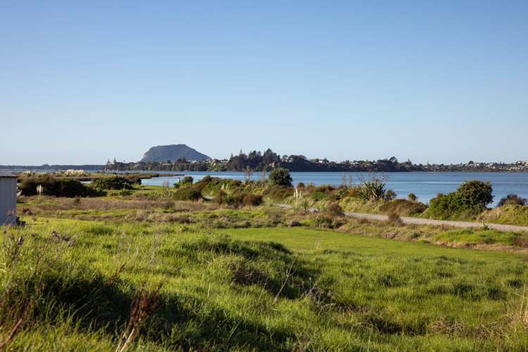 18 Te Ara O Tahataharoa Te Puna_13
