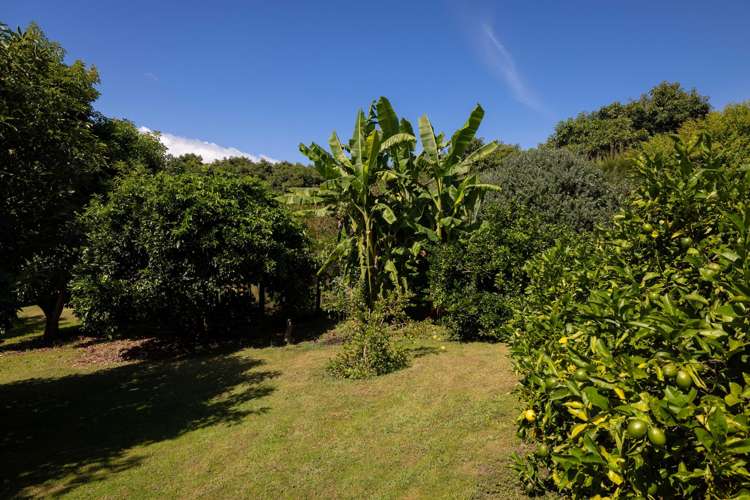 313 Youngson Road Whakamarama_28