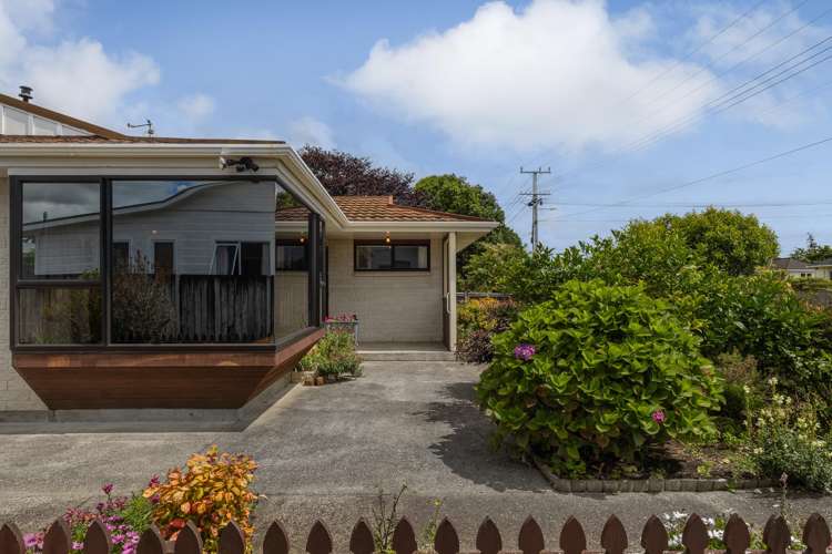 50 Winchester Street Levin_17