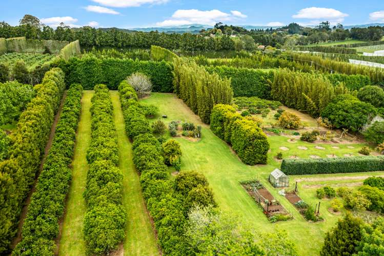 1322 State Highway 10 Kerikeri_7