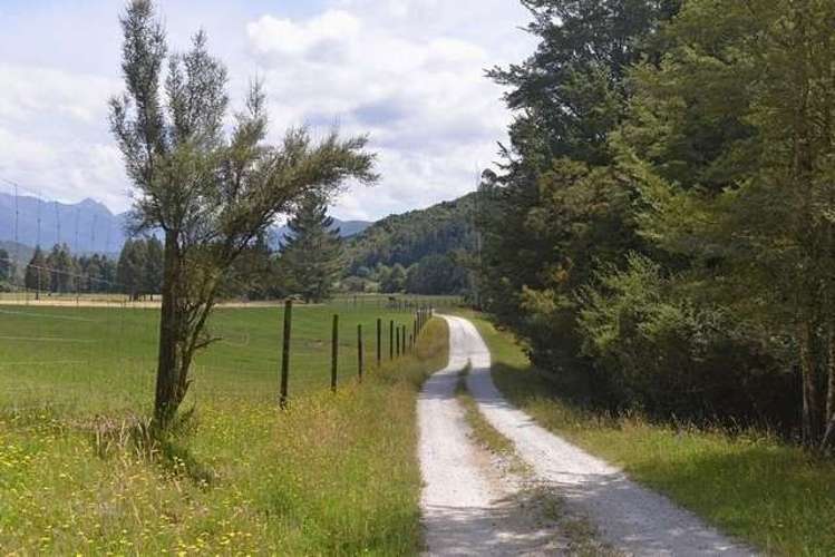 560 Shenandoah Highway Murchison_10