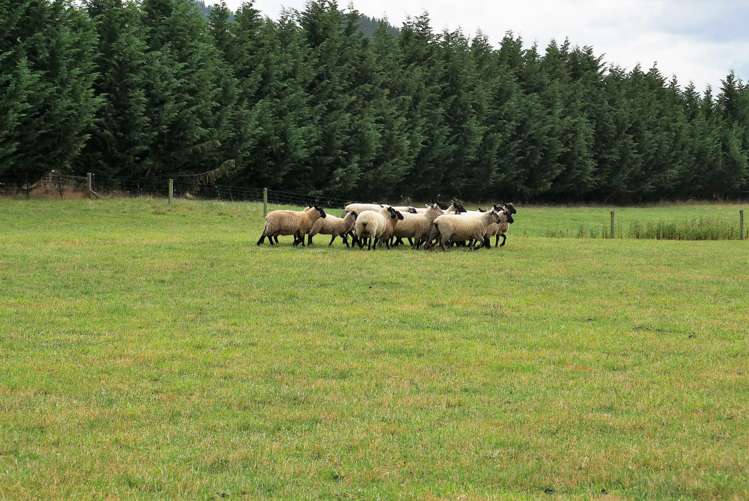 460 Palmerston-Dunback Road Palmerston_15