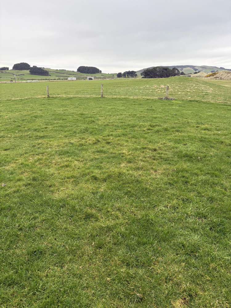 772 Orepuki-Riverton Highway_3