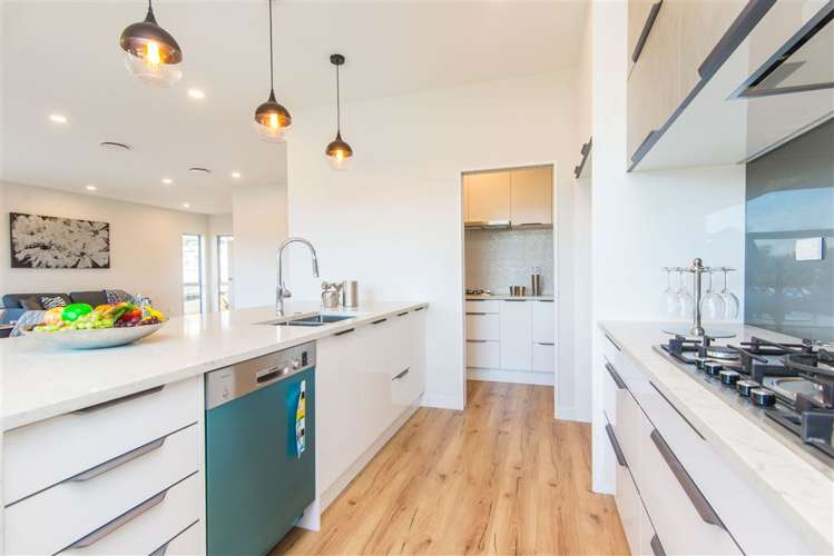 14 Irongate Avenue Ranui_25