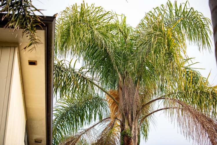 175a Killarney Road Frankton_15