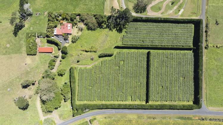 250 Taurangaruru Road Karioitahi_22