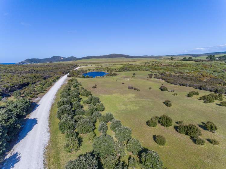 449 Matai Bay Rd Karikari Peninsula_12