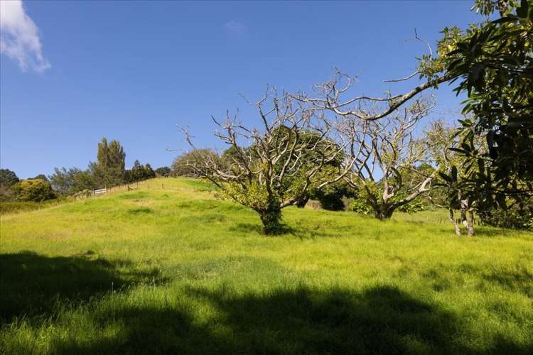 1162F Welcome Bay Road Papamoa_38