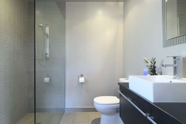 132 Rowesdale Drive Drive Ohauiti_17