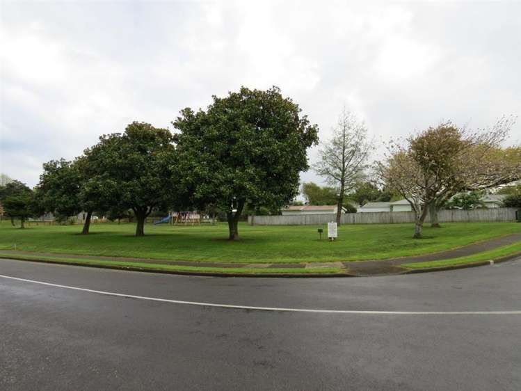 38 Argyle Avenue Levin_8