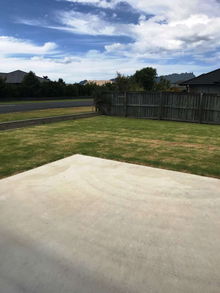 347 One Tree Point Road One Tree Point_13