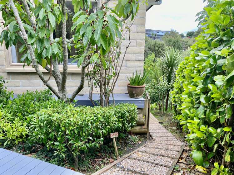 12 Blue Gum Drive Warkworth_20