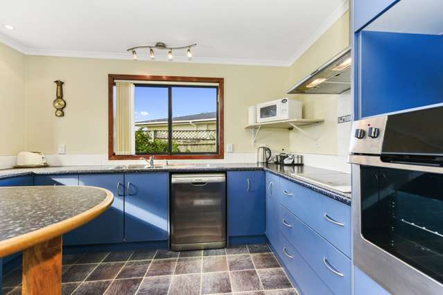 14a Poaka Avenue Dinsdale_3