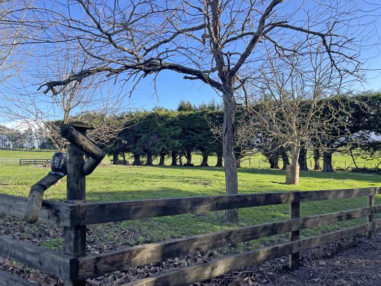 54 Byrne Road Takapau_22