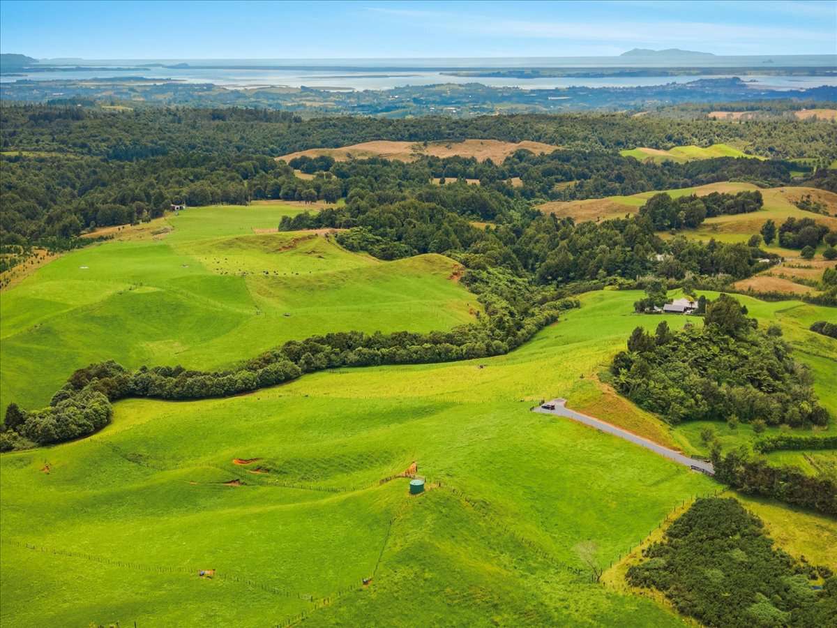 938C Whakamarama Road_2