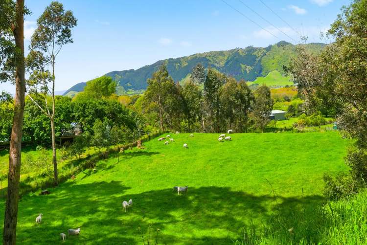 340D Ngarara Road Waikanae_17